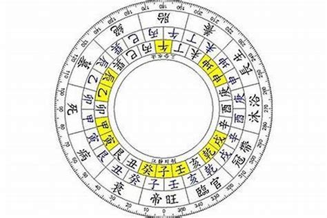 八字 四庫|四柱八字：四庫、辰、戌、丑、未詮釋